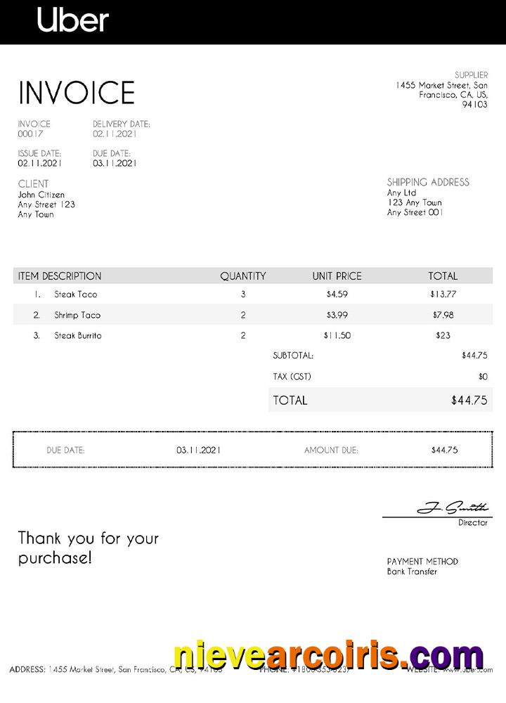 USA Uber invoice